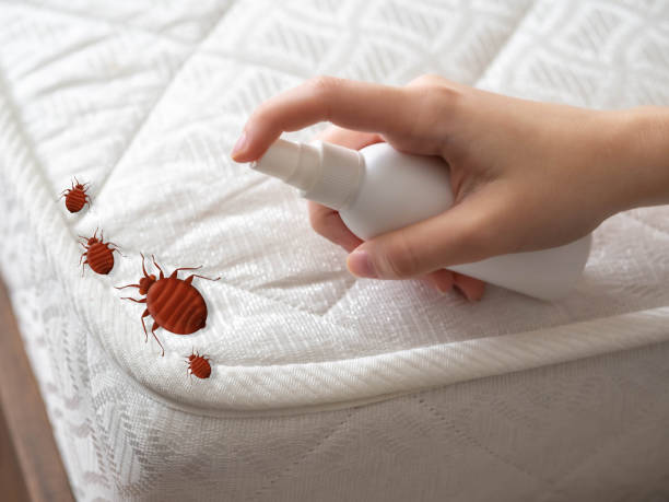 Best Organic or Eco-Friendly Pest Control  in Muskego, WI